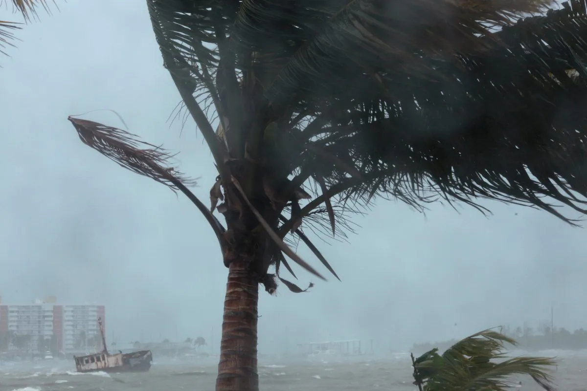 A palm tree buckles under winds and rain as Hurricane Irma slammed across islands in the northern Caribbean on Wednesday, in Fajardo, Puerto Rico September 6, 2017.  REUTERS/Alvin Baez