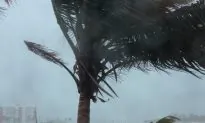 National Guard Seizes Weapons In US Virgin Islands