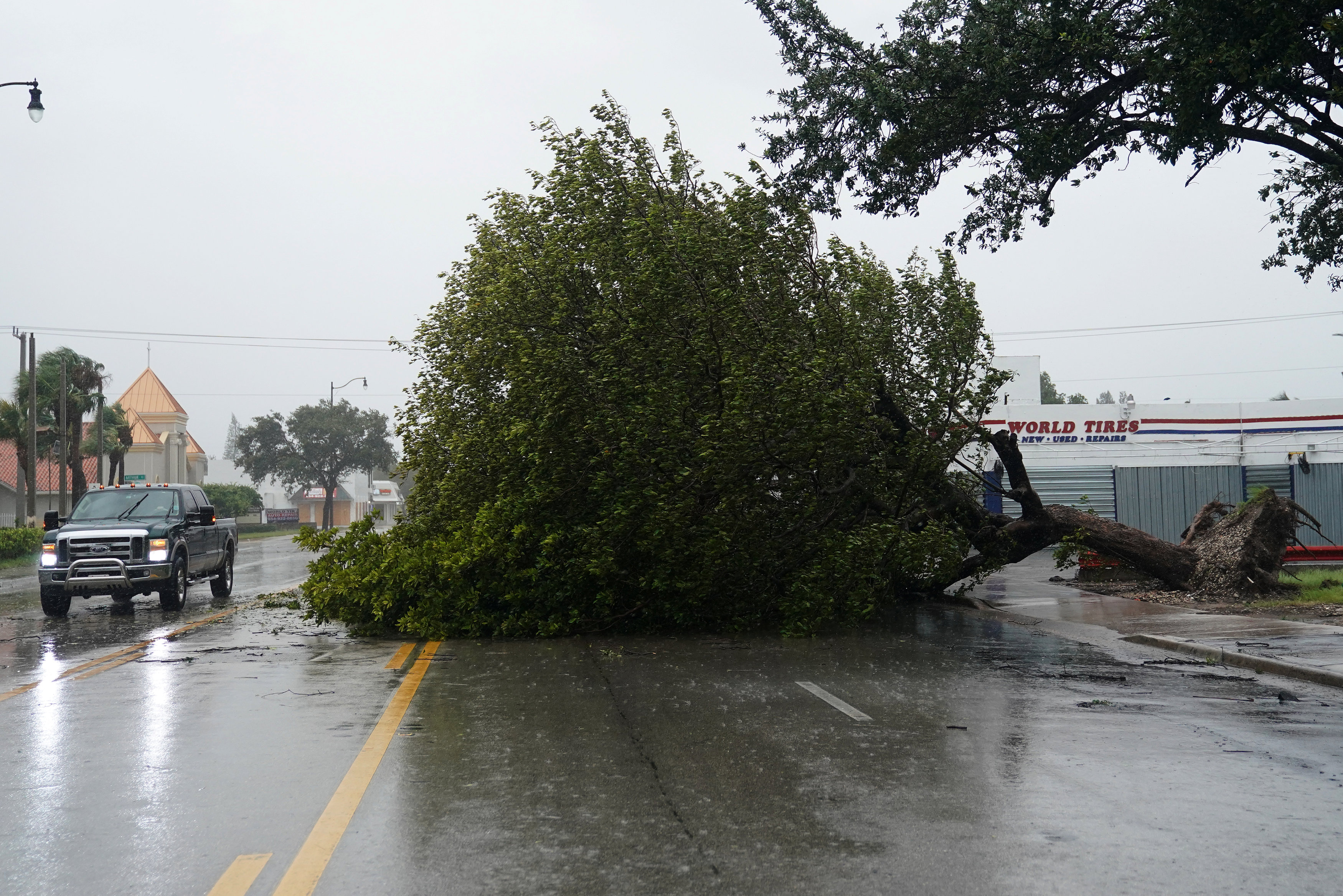 A fallen tree blocks Biscayne Blvd. as Hurricane Irma arrives in Hollywood, Florida on Sept. 9, 2017. (REUTERS/Carlo Allegri)