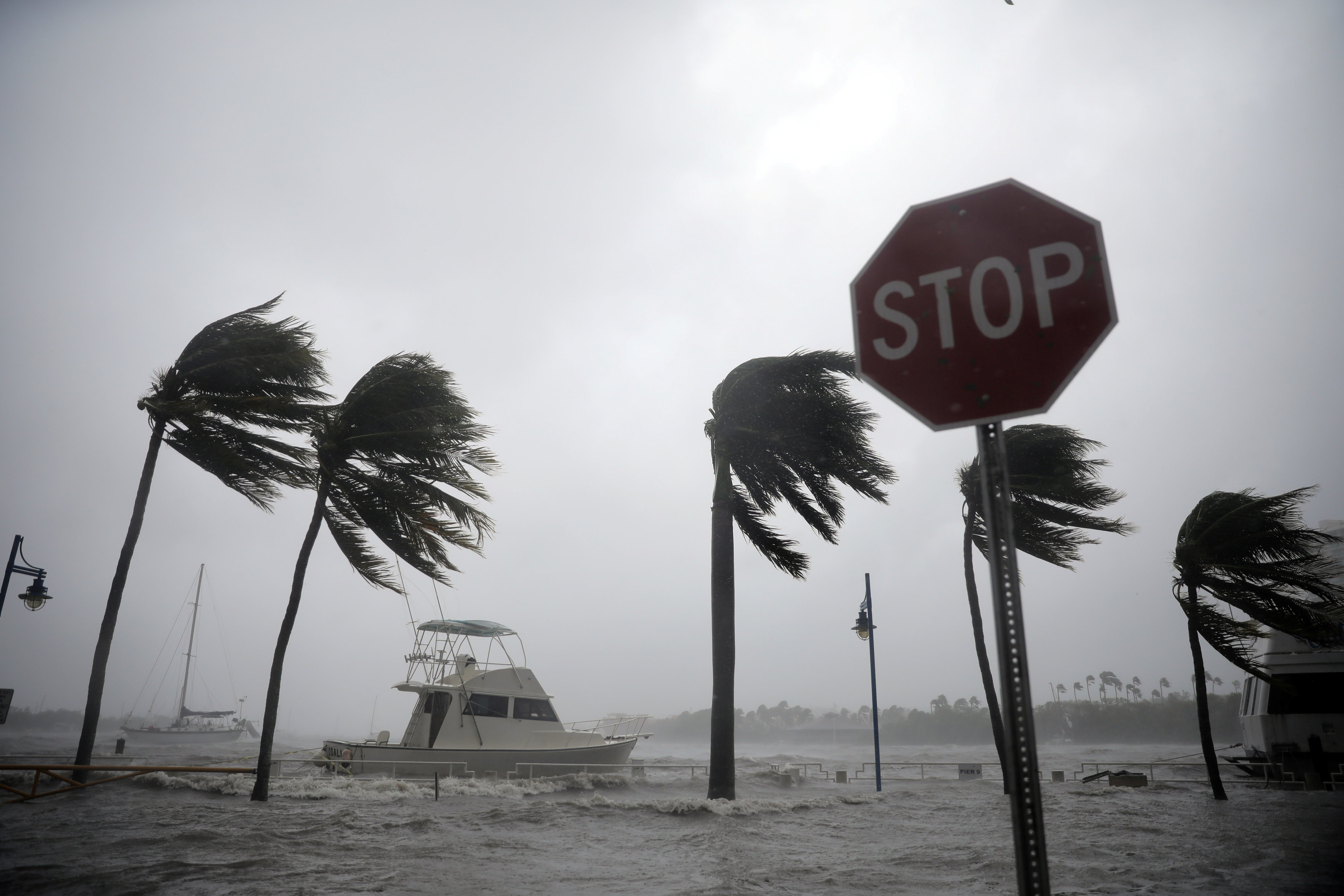 Boats are seen at a marina in Coconut Grove as Hurricane Irma arrives at south Florida, in Miami, Florida on Sept. 10, 2017. (REUTERS/Carlos Barria)