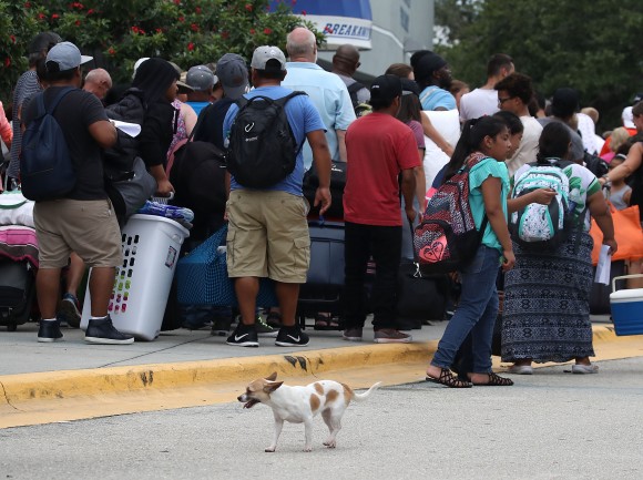 A dog stands near its owner while waiting to enter the Germain Arena that is serving as a pet friendly shelter from the approaching Hurricane Irma on Sept. 9, 2017 in Estero, Florida. (Mark Wilson/Getty Images)