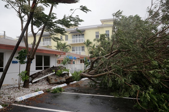FORT LAUDERDALE, FL - SEPTEMBER 10: A tree is felled by winds produced by Hurricane Irma September 10, 2017 in Fort Lauderdale, Florida. The category 4 hurricane made landfall in the United States in the Florida Keys at 9:10 a.m. after raking across the north coast of Cuba. (Photo by Chip Somodevilla/Getty Images)