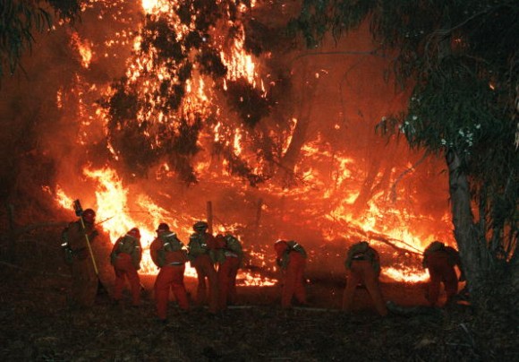 MALIBU, CA - NOVEMBER 3: US Forest service firefighting crew fights the forest fire above Malibu early 03 November 1993 after a wildfire burned through the area late 02 November, burning over 200 homes from Calabasas to Malibu on the coastline north of Los Angeles. (Photo credit should read HAL GARB/AFP/Getty Images)