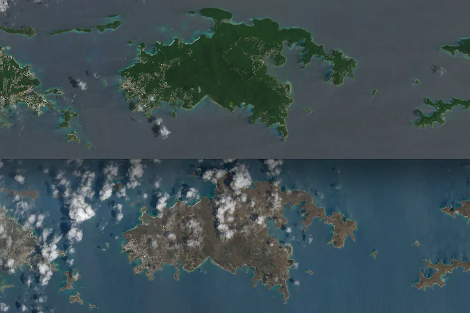 These before and after photos of St. John island reveal the dramatic loss of vegetation the island suffered due to Hurricane Irma. (Composite from NASA photos via Landsat 8 satellite)