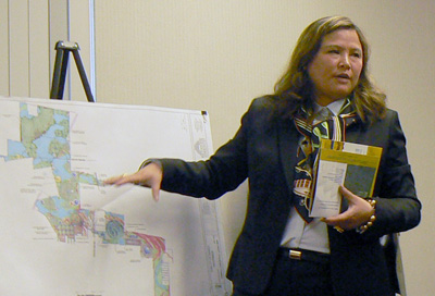Sherry Li giving a presentation on the proposed China City of America-turned-Thompson Education Center in May 2013. (MidHudsonNews.com.)