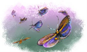 GM Moths Released in US for First Time: A Major Step for 'Frankenbugs'