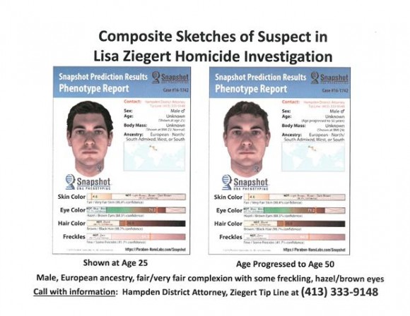 A profile of Lisa Ziegert's killer based on DNA recovered from her body. (Hampden District Attorney's Office)