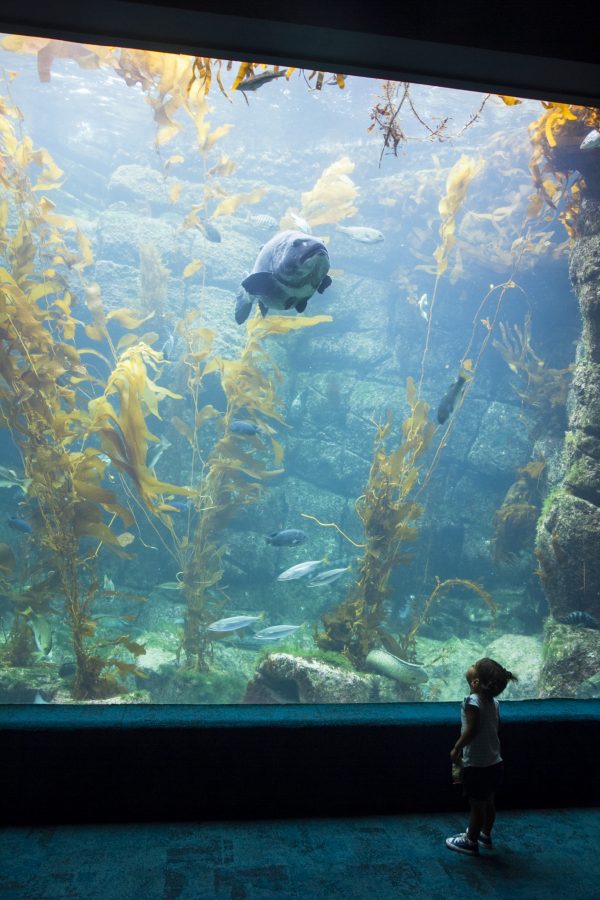 Epoch Times Photo