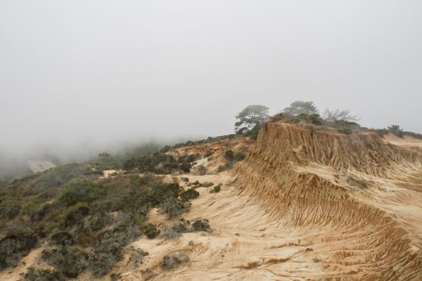 Epoch Times Photo