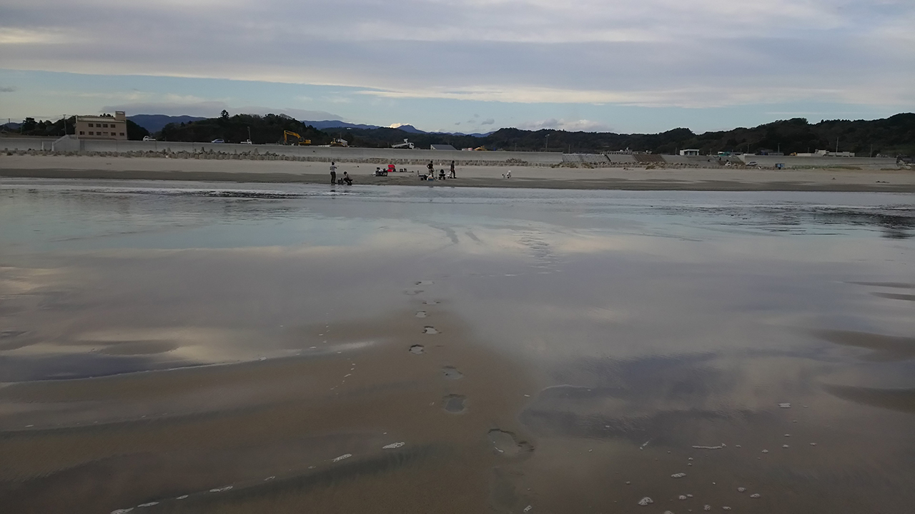 A file photo of beaches contaminated from the Fukushima Dai-ichi Nuclear Power Plant disaster in 2011. (Souichiro Teriyaki/Kanazawa University)