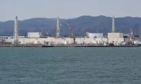 Radiation Levels at Fukushima Nuclear Plant ‘Worse’ Than Previously Thought: Japan