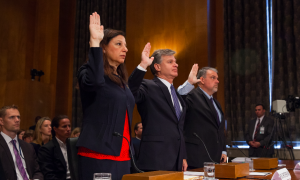 Homegrown Terror a Top Threat to US, Say Agency Chiefs