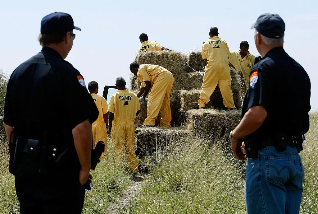Inmates from the Jefferson County Jail unload bails of hay for cattle, as pastures are still filled with floodwater from the storm surge of Hurricane Ike Sept. 17, 2008, in Jefferson County Texas, Texas. Texas inmates donated over $50,000 to the American Red Cross over the month of September to help with Hurricane Harvey recovery efforts. (Mark Wilson/Getty Images)