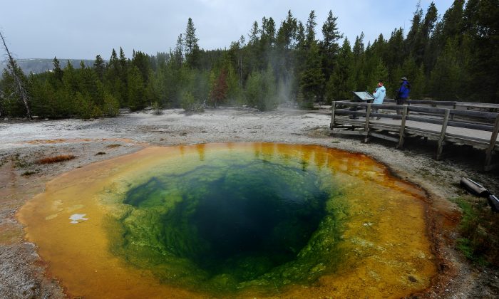 The 'Morning Glory'  hot spring in the Yellowstone National Park, Wyoming on June 2, 2011. (Mark Ralston/AFP/Getty Images)