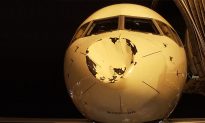 Bird Crashes Into NBA’s Oklahoma Thunder Team Jet