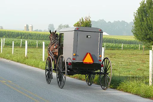 File photo of an Amish buggy in Michigan. (Ad Meskens/Wikimedia Commons [CC BY-SA 3.0 (creativecommons.org/licenses/by-sa/3.0) or GFDL (http://www.gnu.org/copyleft/fdl.html)])