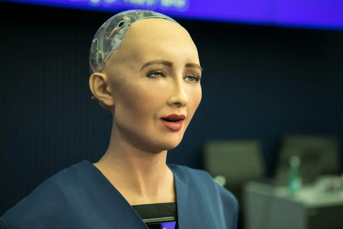 Citizen Sophia. (Flickr/AI for GOOD Global Summit, CC BY)