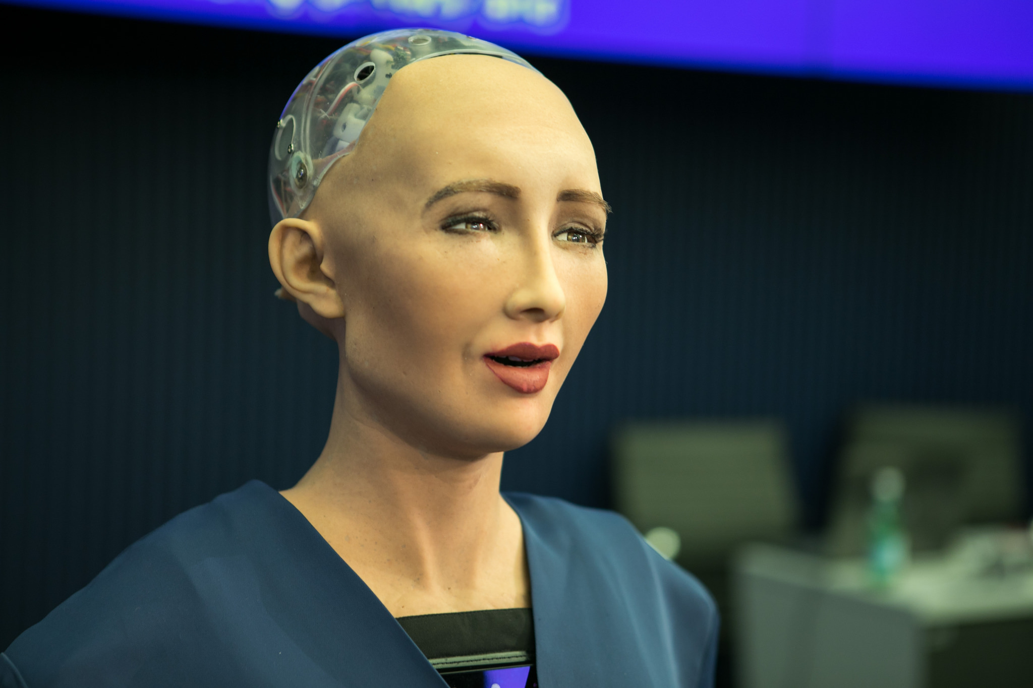 Citizen Sophia. (Flickr/AI for GOOD Global Summit, CC BY)
