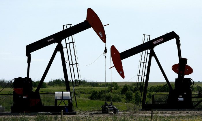 Pumpjacks at work pumping crude oil near Stettler, Alta., in a file photo. (The Canadian Press/Larry MacDougal)