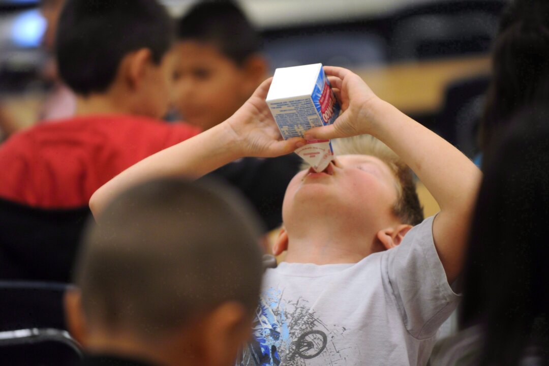 A child drinking milk in a school cafeteria. (The Canadian Press/AP/Nellie Doneva)