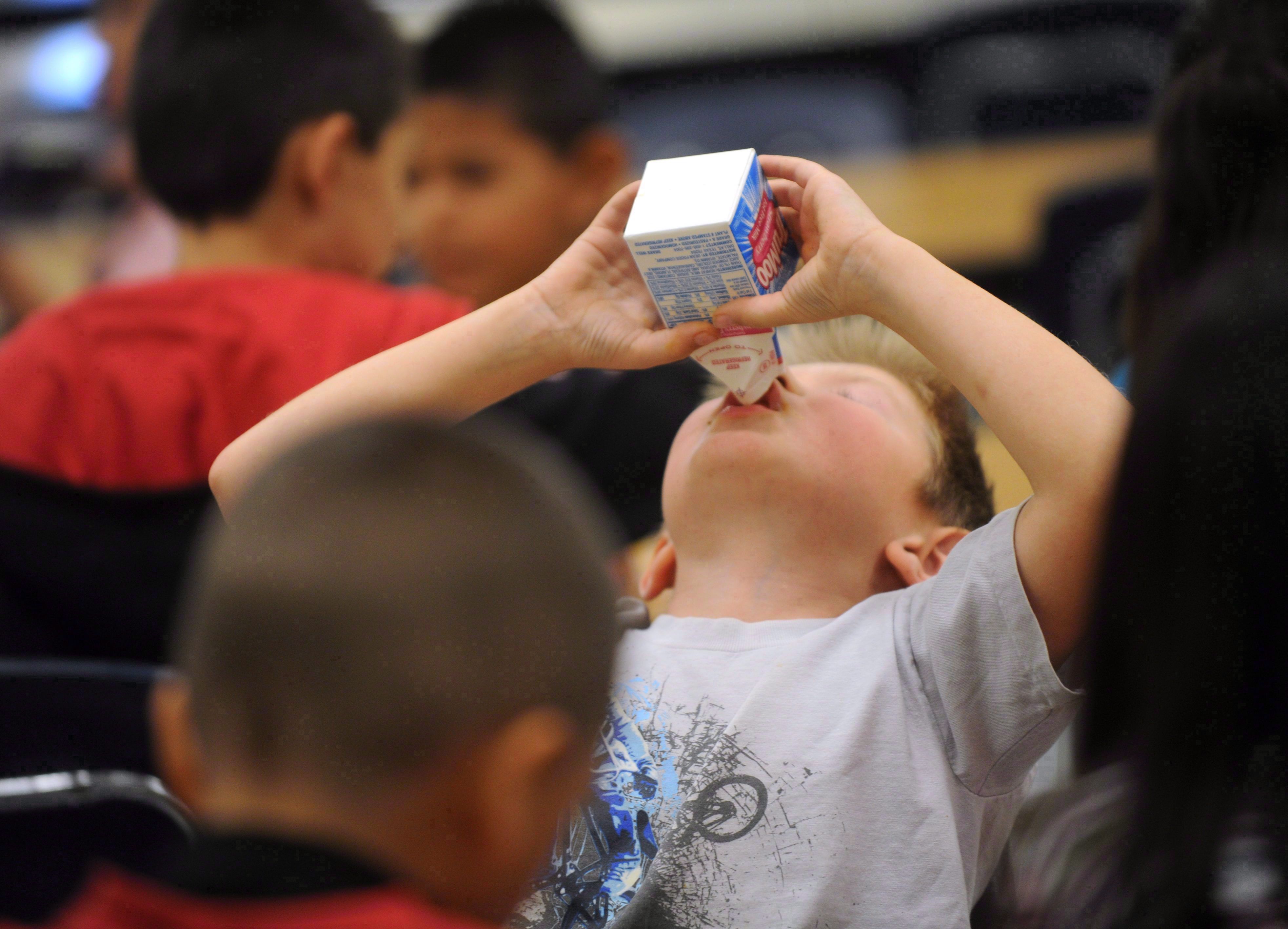 Returning the 'Whole' Cow to US Lunchrooms: Why Some Say Children Need Whole Milk - Vimarsana News