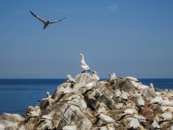 Epoch Times Photo