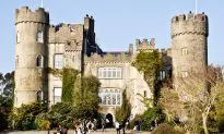 Seals, Puffins, and a Haunted Castle: A Day Trip From Dublin