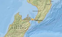 Magnitude-4.5 Earthquake Hits Central New Zealand