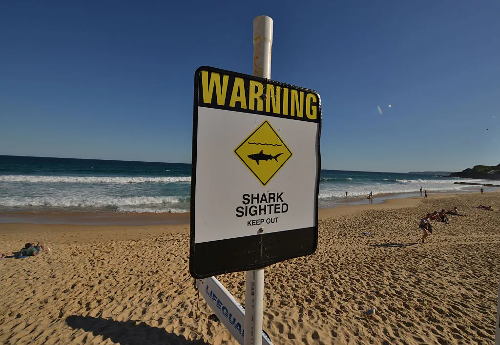 A shark warning sign is seen posted on the beach in the northern New South Wales city of Newcastle on Jan. 17, 2015. (Peter Parks/AFP/Getty Images)