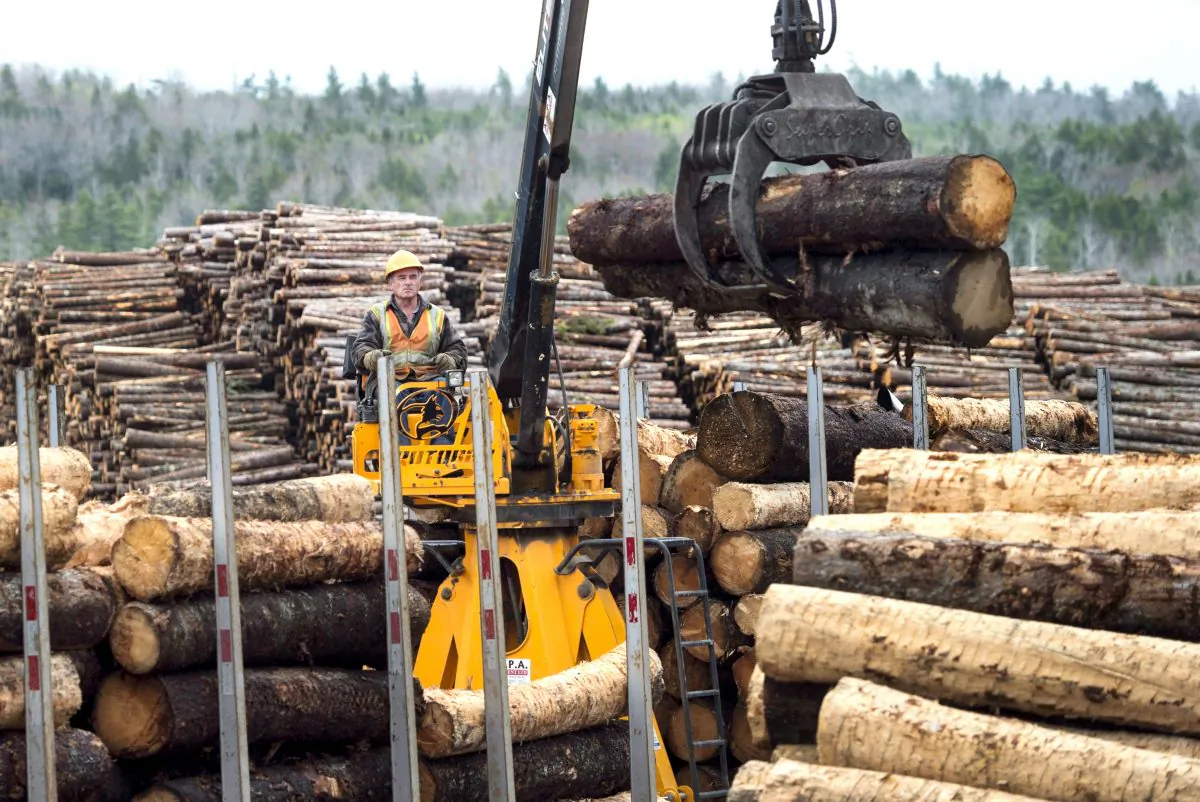 A worker loads logs at Ledwidge Lumber Co. in Halifax on May 10, 2017. (THE CANADIAN PRESS/Darren Calabrese)