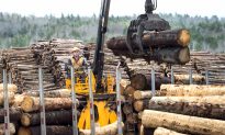 Lighthizer Opposes WTO Ruling Against US in Canadian Lumber Dispute