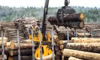 Lighthizer Opposes WTO Ruling Against US in Canadian Lumber Dispute