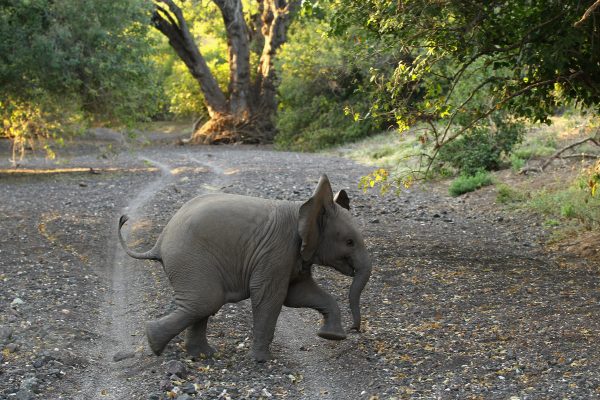 Epoch Times Photo