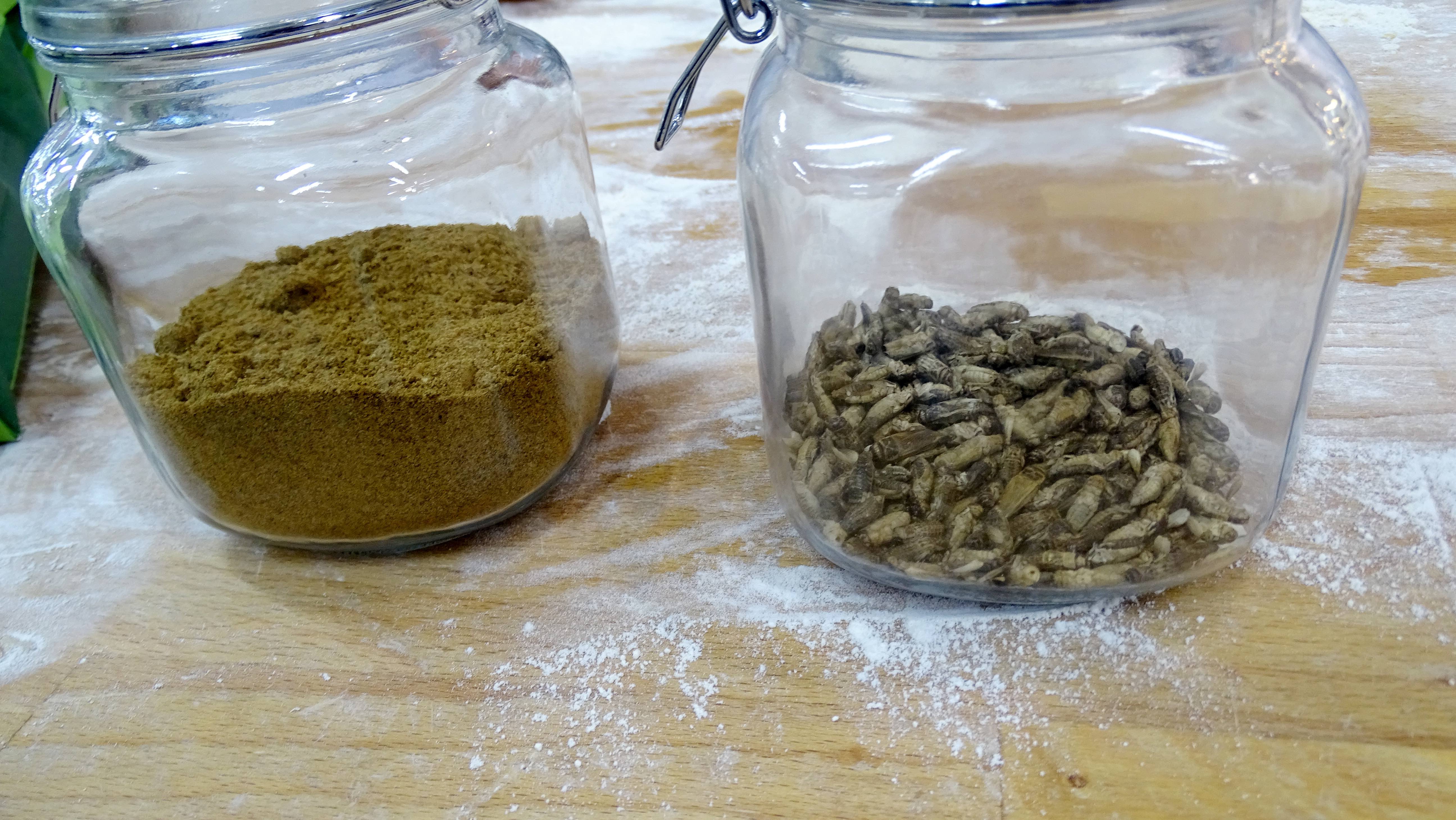 Alternative Protein Snacks Made From Insects Finding Their Way Onto Store Shelves - Vimarsana News