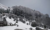 Britain Prepares for Snow as Forecasters Predict Arctic Winter