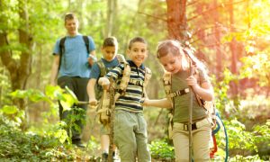 Why We’re Forgetting What ‘Nature’ Really Means