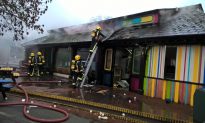 More Than 70 Firefighters Tackle Blaze at London Zoo