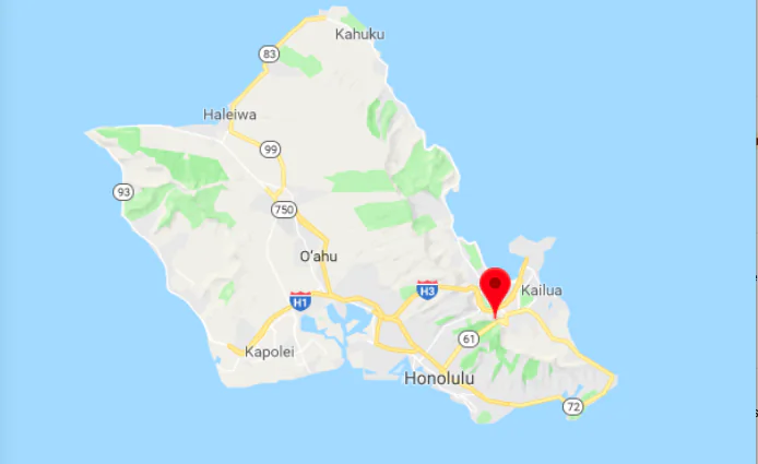 Two men from Honolulu, Hawaii, who have been friends for 60 years found out shortly before Christmas 2017 that they are also brothers. (Screenshot via Google Maps)