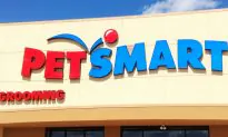 Pit Bull Bites, Seriously Injures PetSmart Worker During Routine Grooming Session
