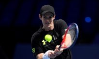 Tennis: Murray Pulls out of Australian Open With Hip Injury