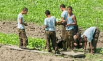North Korean Soldiers Given Leave to Collect Food: Report