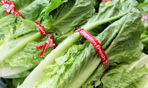 CDC Confirms Source of Multi-State E. Coli Outbreak in Romaine Lettuce