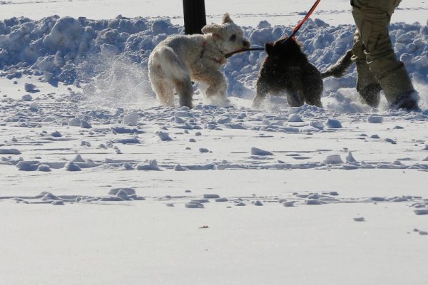 Epoch Times Photo