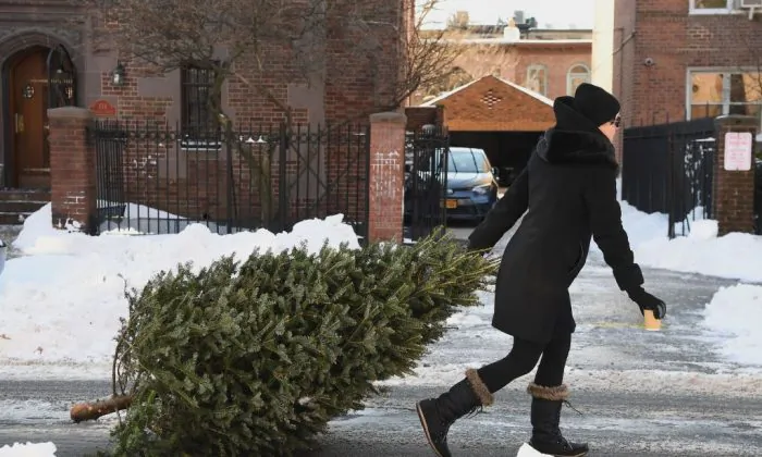 A woman drags a Christmas tree in Brooklyn, New York on Jan. 5, 2018.
(Angela Weiss/AFP/Getty Images)