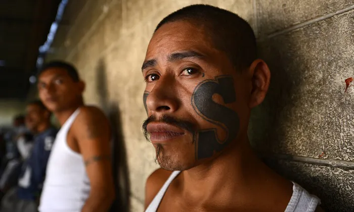 Killer Gang MS-13 Now Has a Presence in Australia