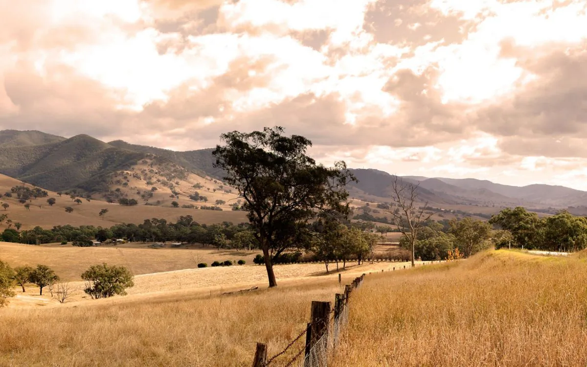 A farm in Gippsland, Australia.
(Jim Trodel [https://creativecommons.org/licenses/by-sa/2.0/] via Flickr)