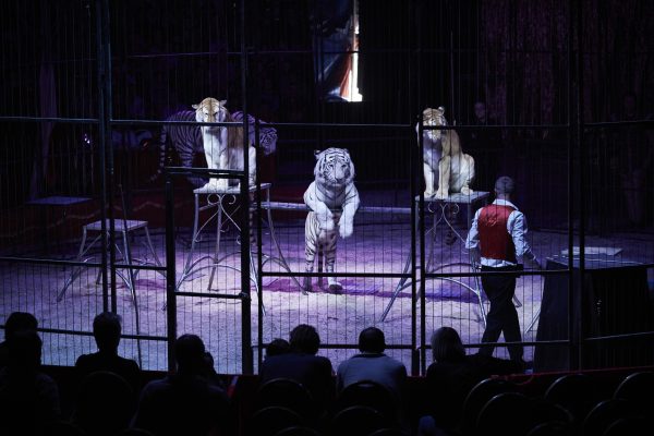 Epoch Times Photo