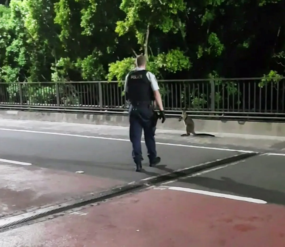 A supplied video screenshot obtained Jan. 16, 2018 of a policeman approaching a wallaby on the Sydney Harbour Bridge in Sydney, Australia.   (AAP/NSW Police/via Reuters)