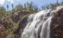 Woman Inadvertently Films Tragedy Unfolding Behind Her via GoPro
