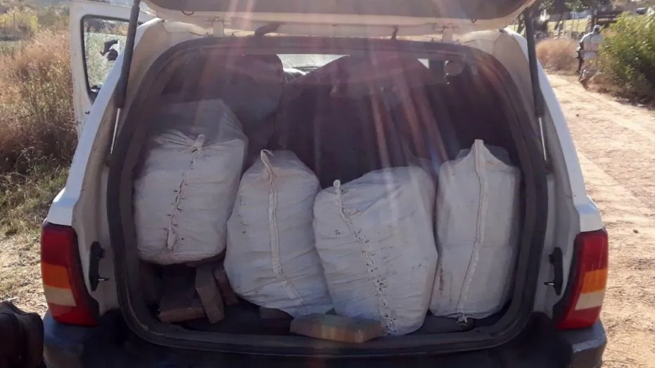 Over half a ton of illegal drugs discovered by police in Ensenada, Baja California, Mexico. (Policía Federal de México)